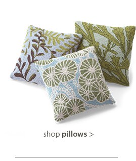 Shop Decorative Pillows >