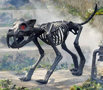 Animated Saber Tooth Tiger Skeleton